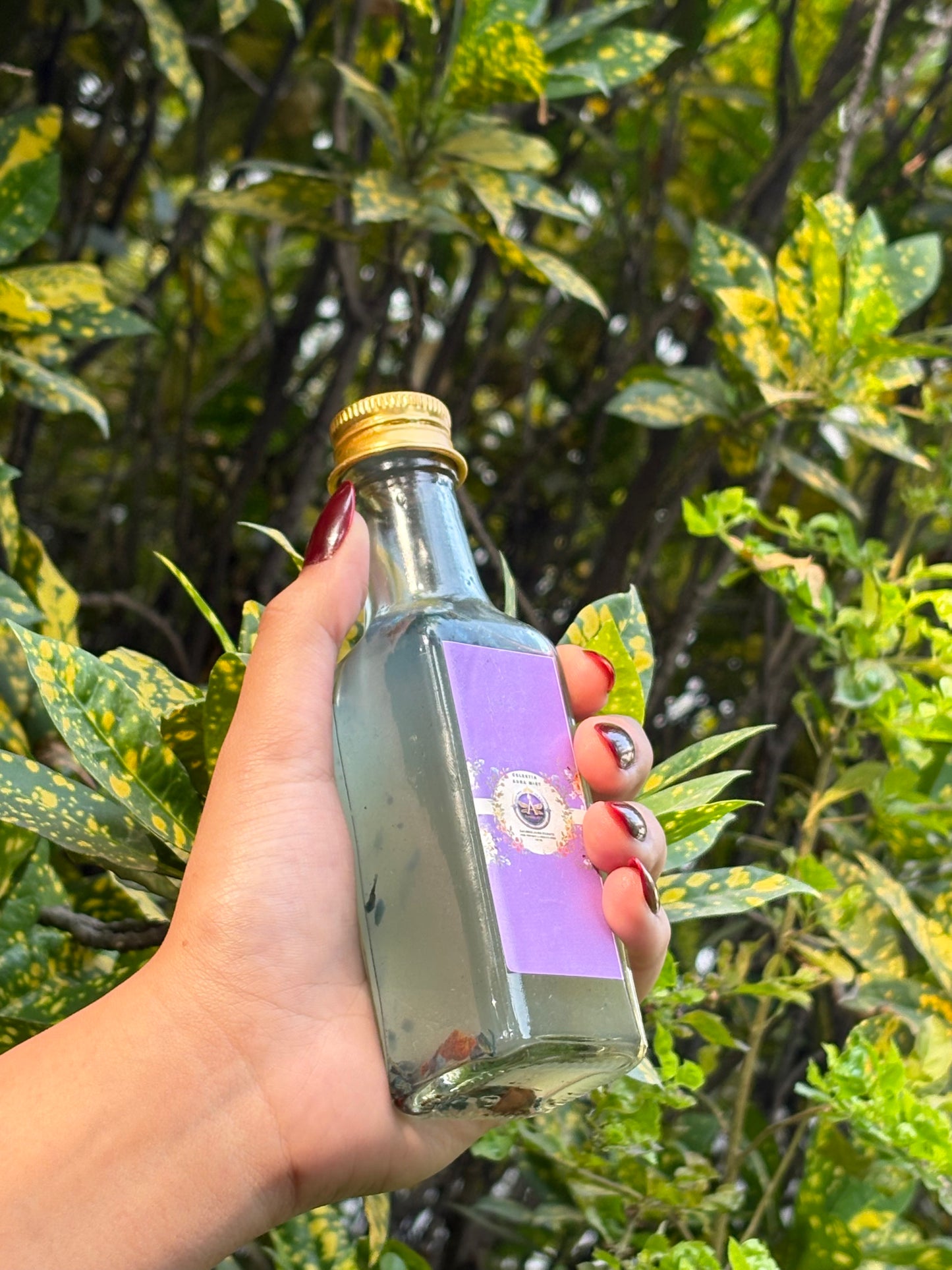 Cellestisa Aura MIst