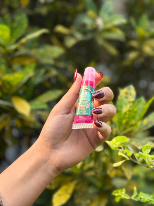 Winter Soften Lip Balm